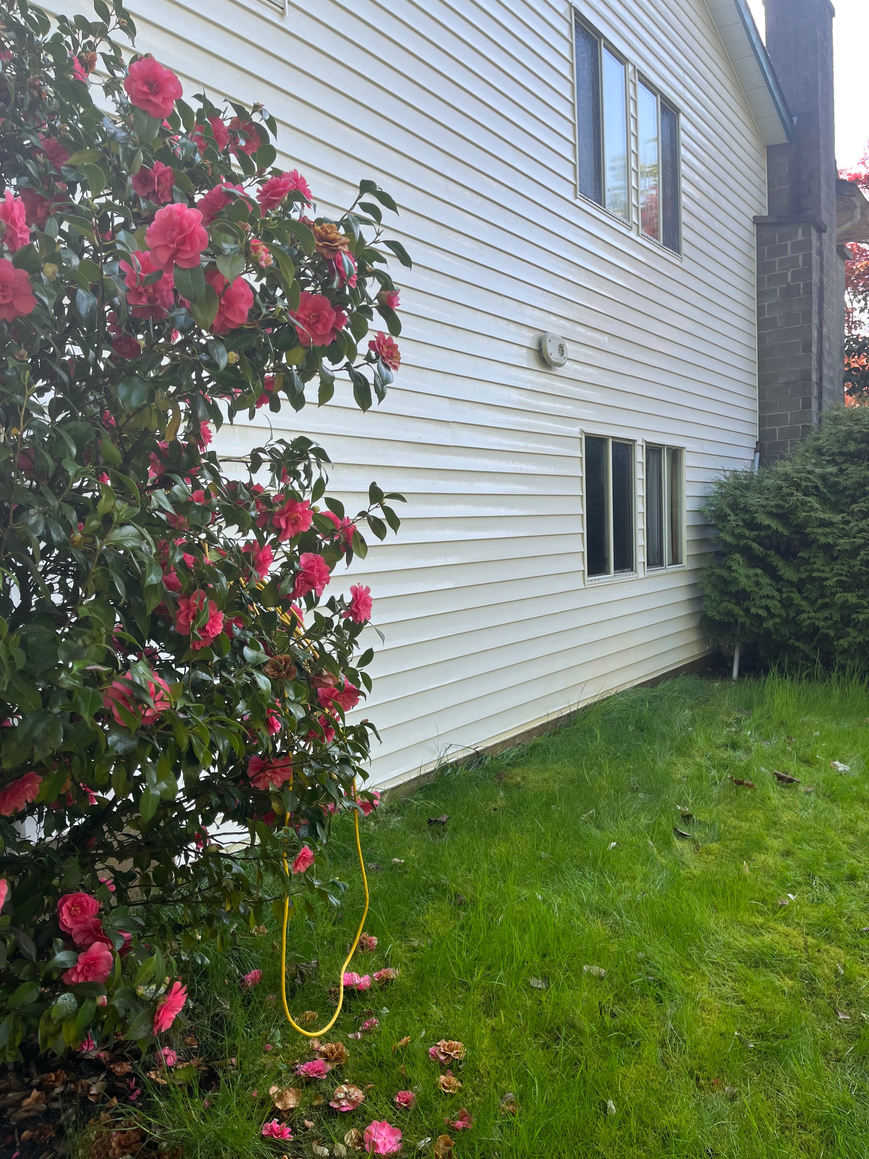 Second project after cleaning